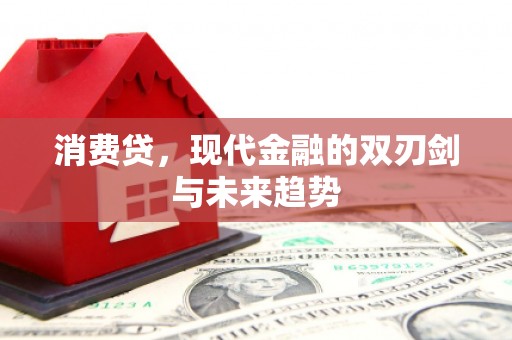 萍乡消费贷，现代金融的双刃剑与未来趋势