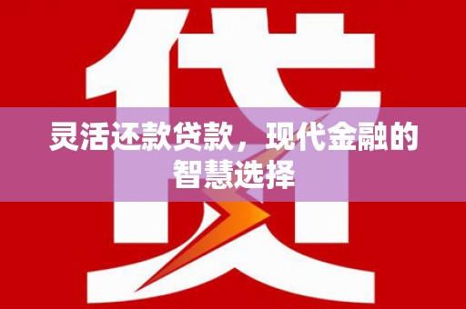 萍乡灵活还款贷款，现代金融的智慧选择
