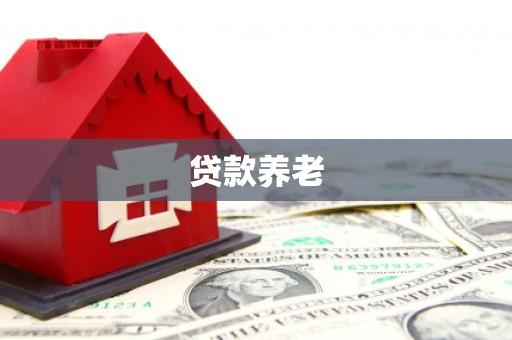 萍乡贷款养老