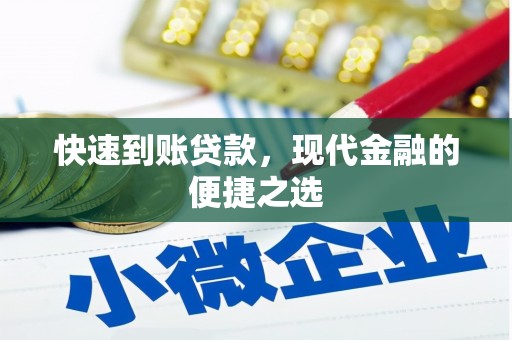 萍乡快速到账贷款，现代金融的便捷之选
