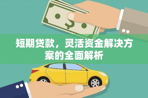萍乡短期贷款，灵活资金解决方案的全面解析