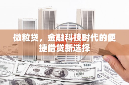 萍乡微粒贷，金融科技时代的便捷借贷新选择