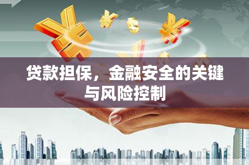 萍乡贷款担保，金融安全的关键与风险控制