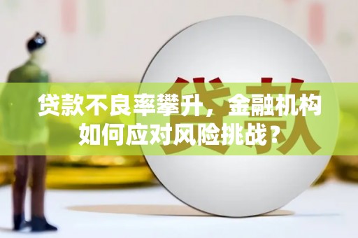 萍乡贷款不良率攀升，金融机构如何应对风险挑战？