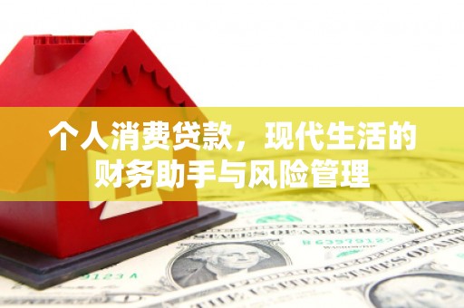 萍乡个人消费贷款，现代生活的财务助手与风险管理