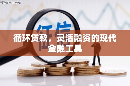萍乡循环贷款，灵活融资的现代金融工具