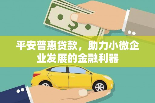 萍乡平安普惠贷款，助力小微企业发展的金融利器