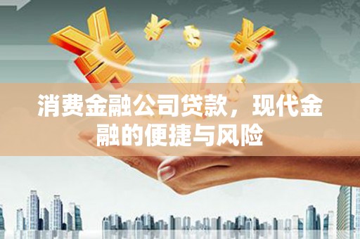萍乡消费金融公司贷款，现代金融的便捷与风险