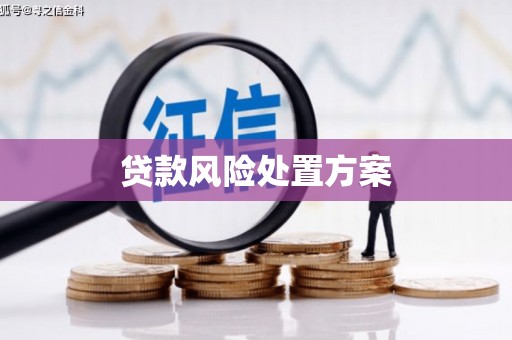 萍乡贷款风险处置方案