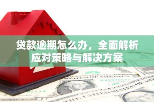 萍乡贷款逾期怎么办，全面解析应对策略与解决方案