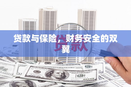 萍乡贷款与保险，财务安全的双翼