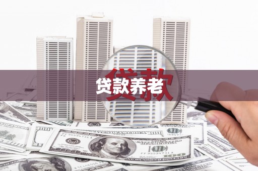 萍乡贷款养老