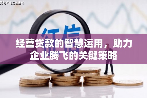萍乡经营贷款的智慧运用，助力企业腾飞的关键策略