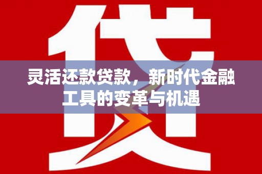 萍乡灵活还款贷款，新时代金融工具的变革与机遇
