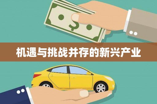 萍乡机遇与挑战并存的新兴产业