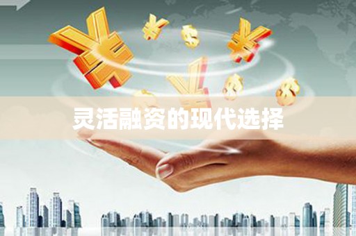 萍乡灵活融资的现代选择