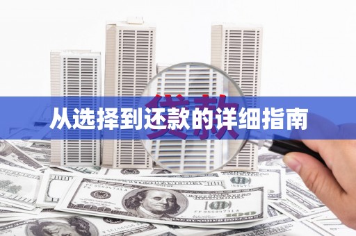 萍乡从选择到还款的详细指南