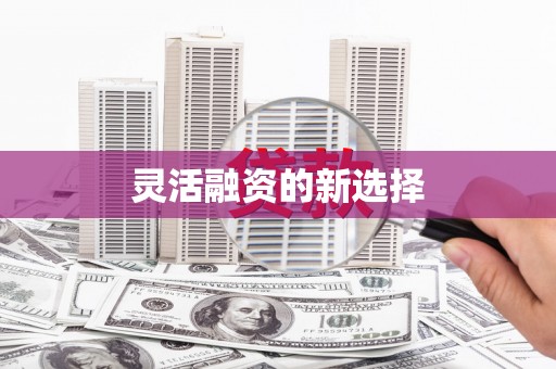 萍乡灵活融资的新选择