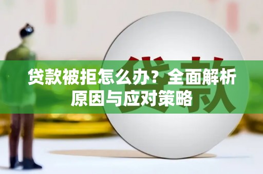 萍乡贷款被拒怎么办？全面解析原因与应对策略