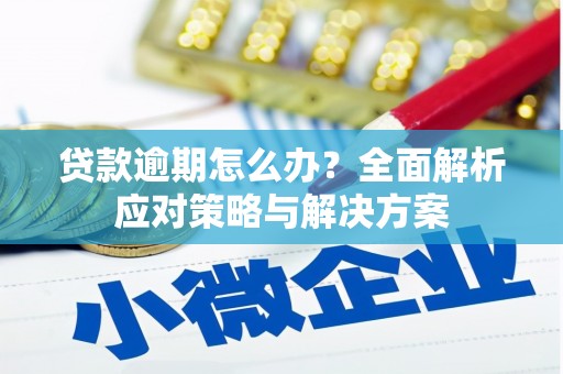 萍乡贷款逾期怎么办？全面解析应对策略与解决方案