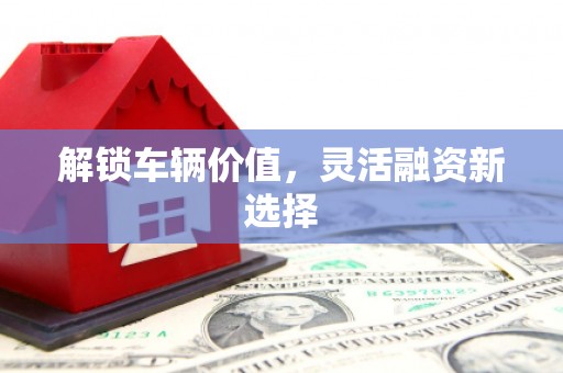 萍乡解锁车辆价值，灵活融资新选择