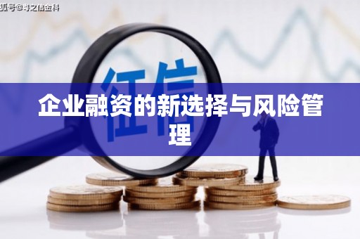 萍乡企业融资的新选择与风险管理
