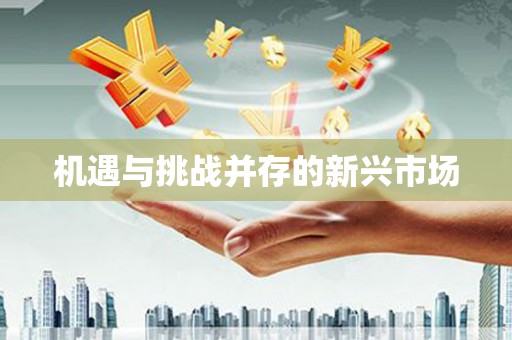 萍乡机遇与挑战并存的新兴市场
