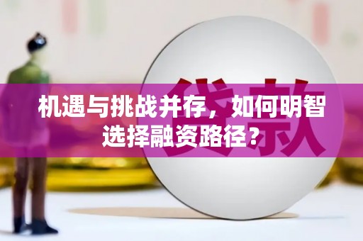 萍乡机遇与挑战并存，如何明智选择融资路径？