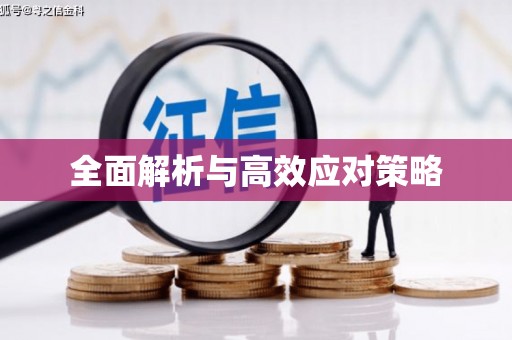 萍乡全面解析与高效应对策略