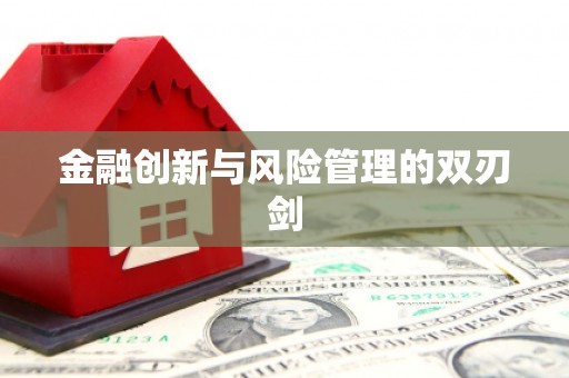 萍乡金融创新与风险管理的双刃剑