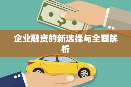 萍乡企业融资的新选择与全面解析