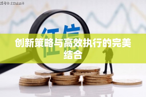 萍乡创新策略与高效执行的完美结合