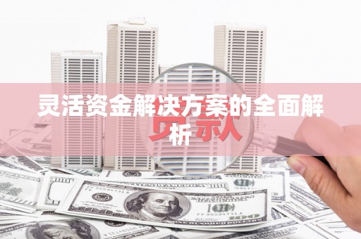 萍乡灵活资金解决方案的全面解析