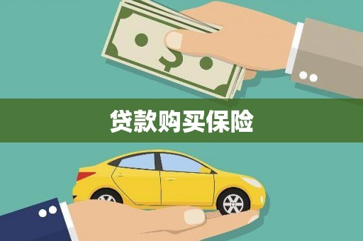 萍乡贷款购买保险