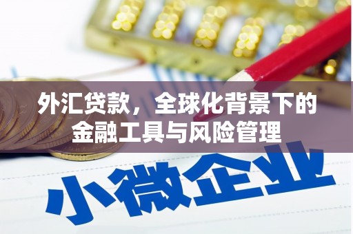 萍乡外汇贷款，全球化背景下的金融工具与风险管理