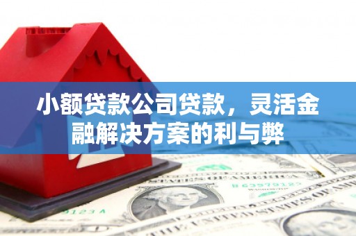 萍乡小额贷款公司贷款，灵活金融解决方案的利与弊